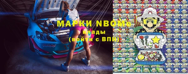 сатива Михайловка
