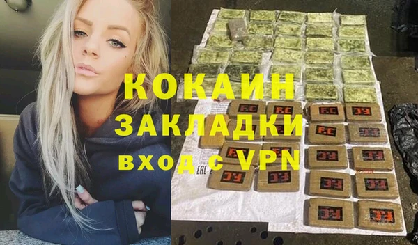 прущие грибы Михайловск