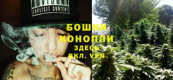 сатива Михайловка