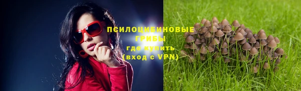 сатива Михайловка
