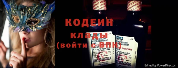 прущие грибы Михайловск