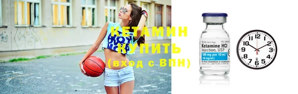 прущие грибы Михайловск