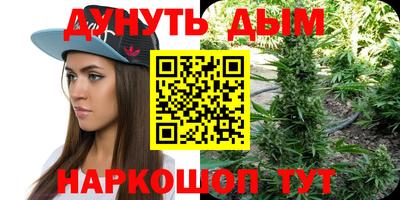 крисы Волгодонск