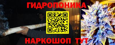 шишки Гагарин