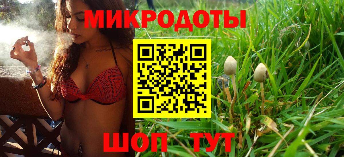 Ефремов  Галлюциногенные грибы Psilocybine cubensis  наркота  Вход с VPN 