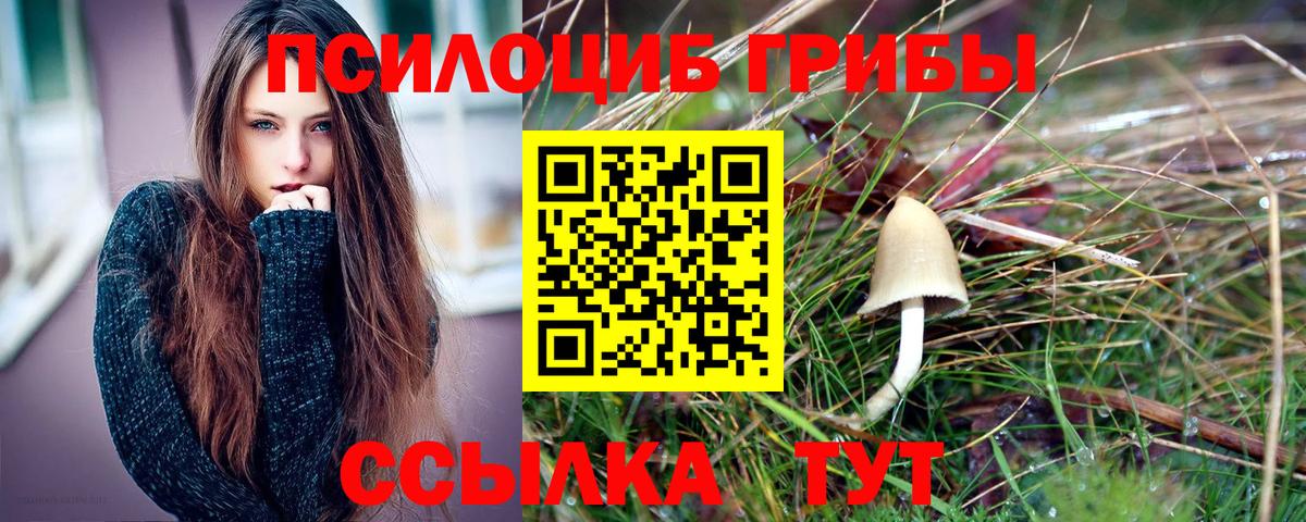 Псилоцибиновые грибы Psilocybe  Галлюциногенные грибы GOLDEN TEACHER  Ефремов 