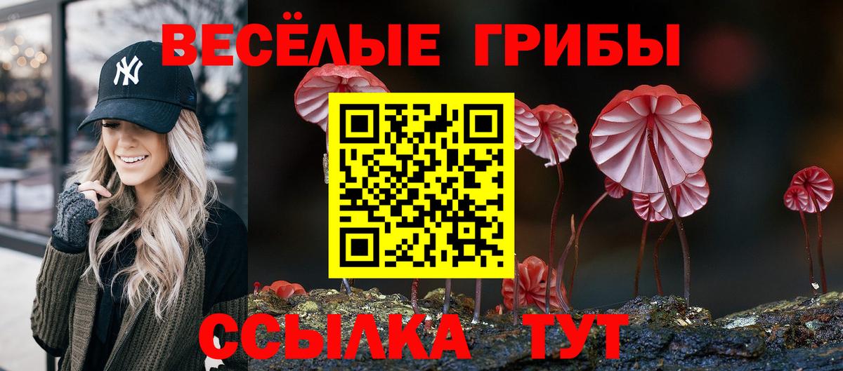 Псилоцибиновые грибы Psilocybe Ефремов