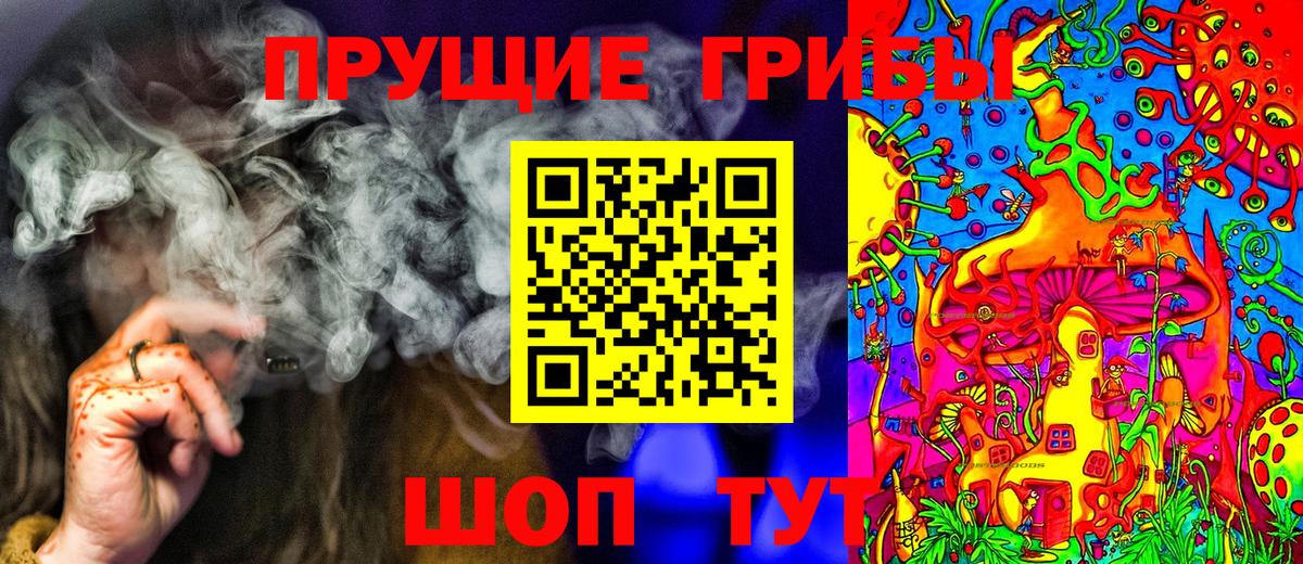 Галлюциногенные грибы Psilocybe Ефремов